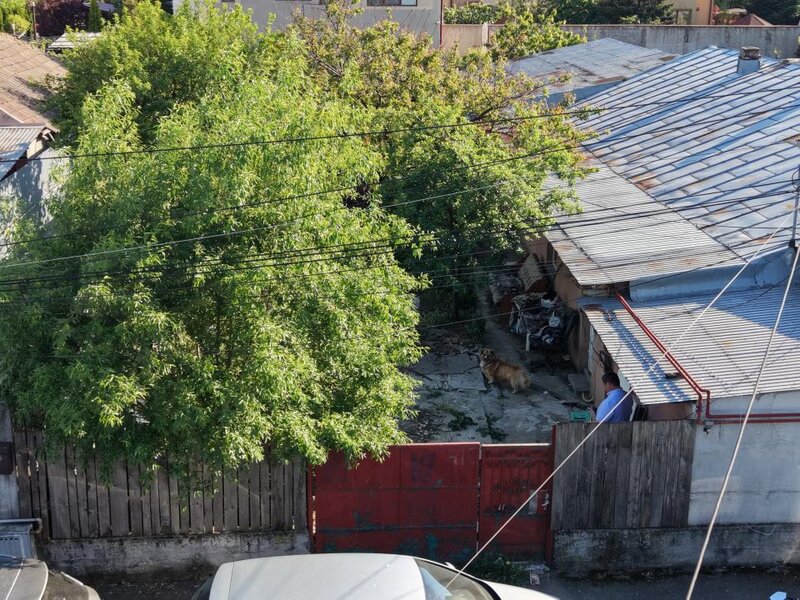 Popesti Leordeni, casa demolabila/ renovabila 3 camere, singur curte 203 mp